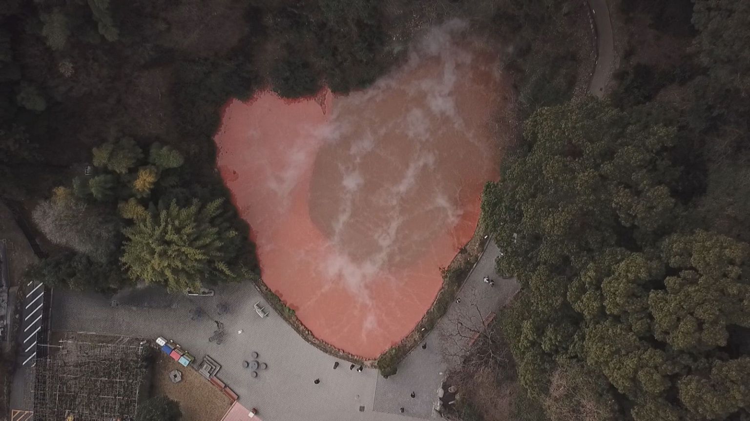 Warm enough for a crocodile: exploring Japan's hot springs