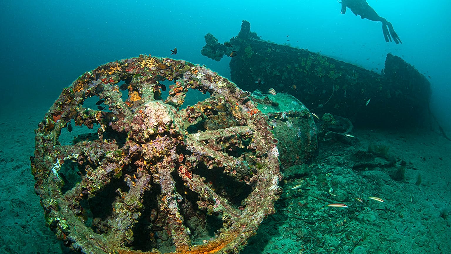 Divers can explore historical shipwrecks at Çanakkale’s Gallipoli Historical Underwater Park.