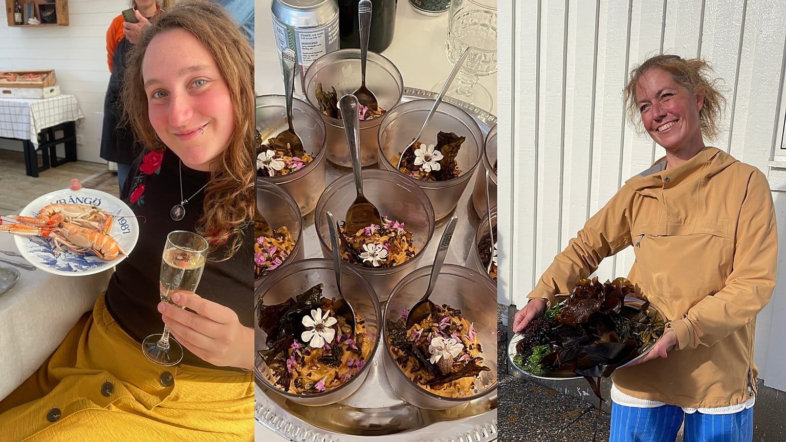 Rory Buccheri took a trip to Sweden to go on a 'seaweed safari'. 