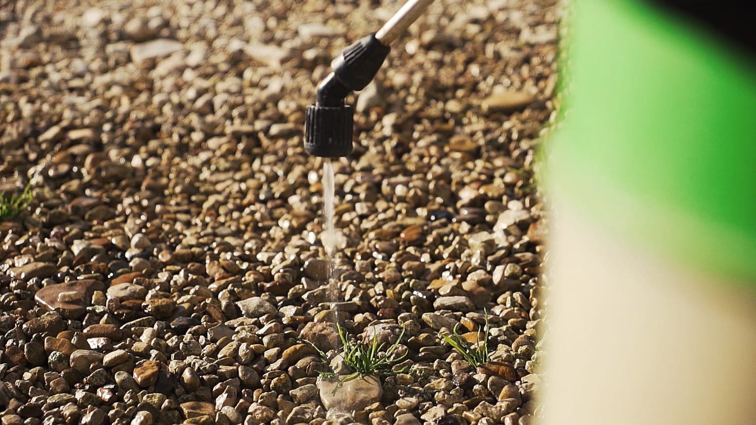 Glyphosate: The much-criticised herbicide that's still used in Europe