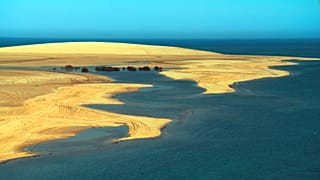 New climate-resistant initiatives underway in Qatar to conserve water in the desert