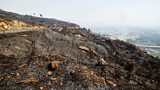 A view of charred vegetation after a wildfire in Caridade, northwestern Spain, Thursday, Aug. 14, 2025.