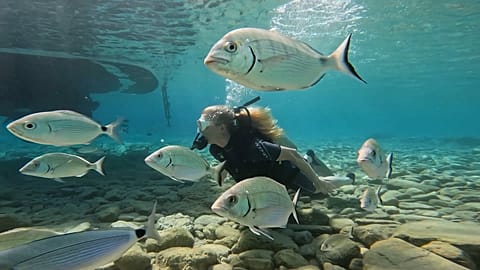 Discover Bodrum’s eco-luxury side: golf resorts, gulet yoga cruises and underwater adventures