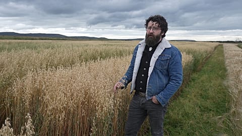 Nordic oats, an orphan crop taking root once again